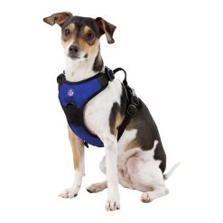 Little Earth Front Clip Pet Harness -SportThreads BILLNV0215C